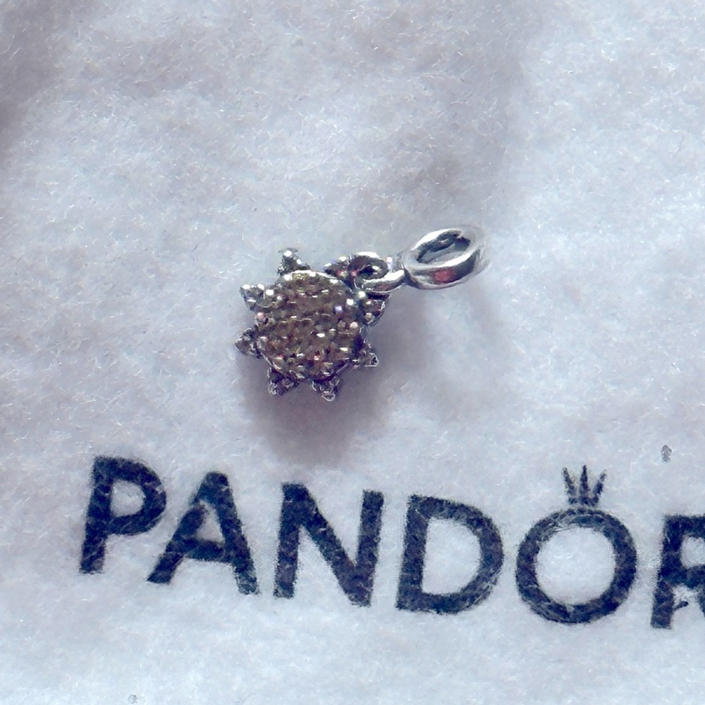 Pandora charm🤍😍
